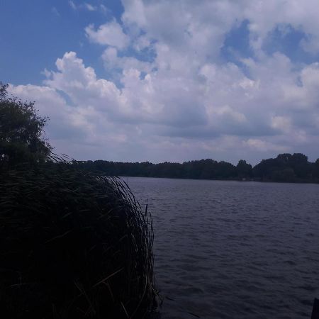 Neptun2 Apartman Domsod Zewnętrze zdjęcie