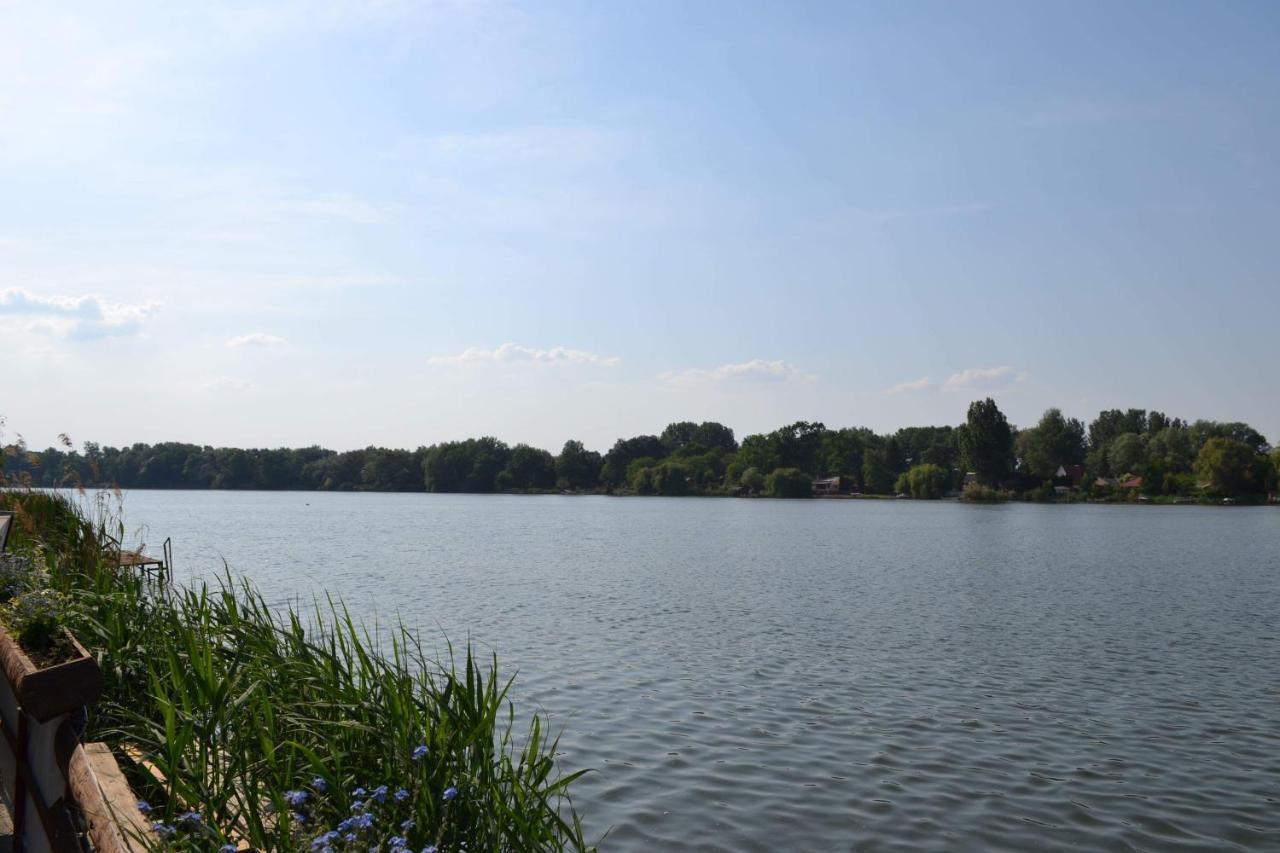 Neptun2 Apartman Domsod Zewnętrze zdjęcie